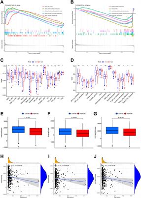 A neutrophil extracellular traps-associated lncRNA signature predicts the clinical outcomes in patients with lung adenocarcinoma